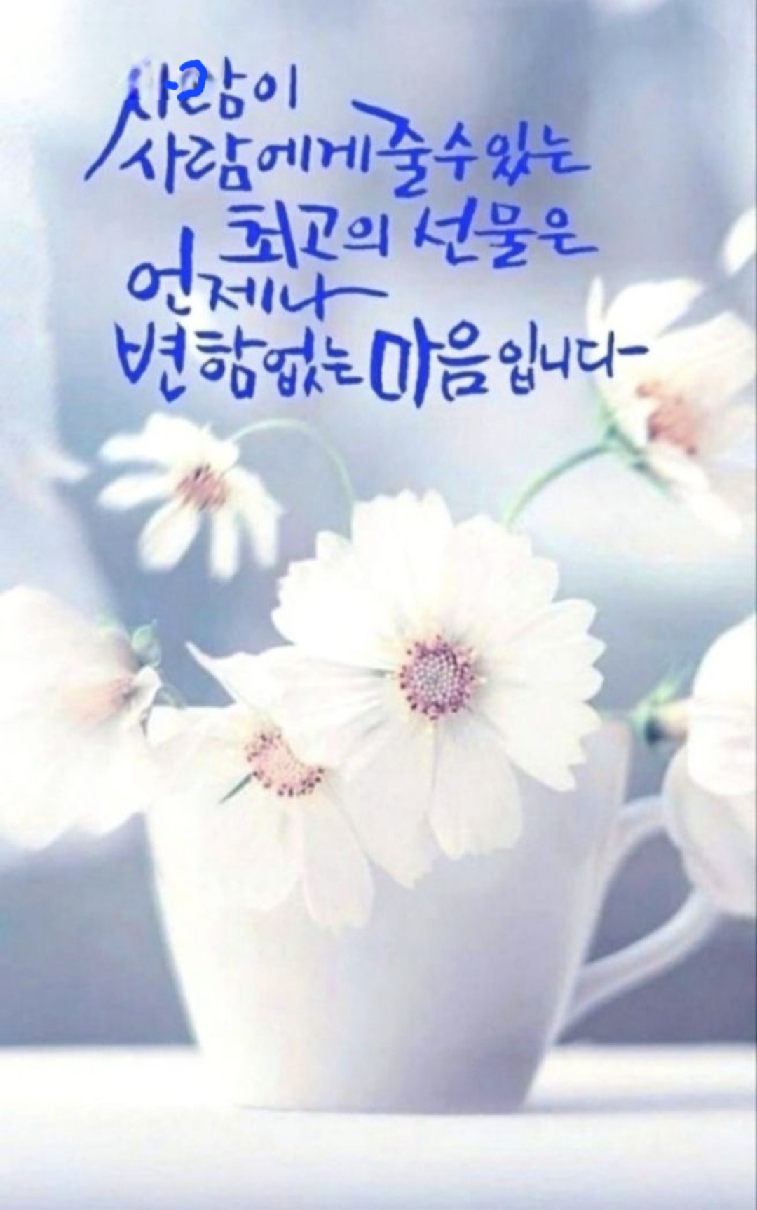 유지우 최근 활동샷