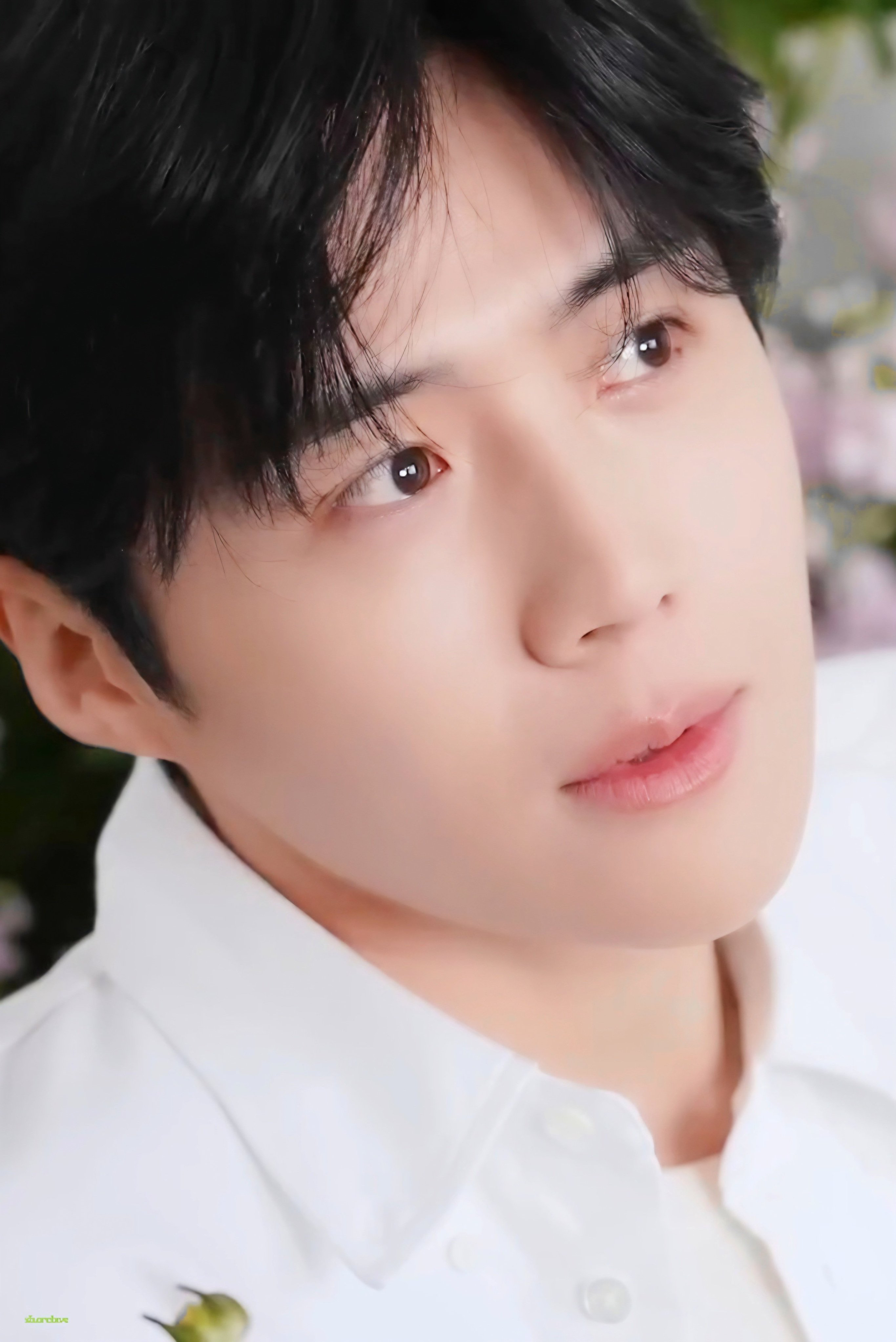 金宣虎的最新照片