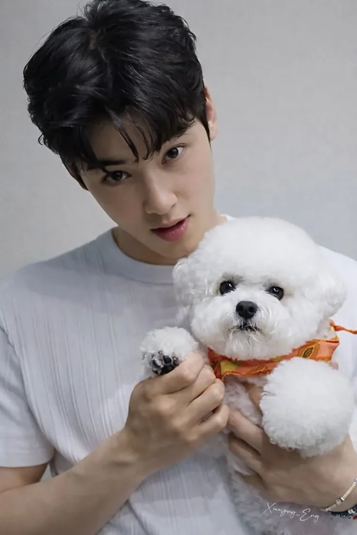 Recent activity shot of Cha Eunwoo