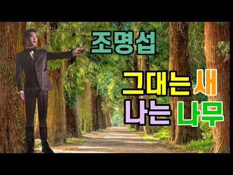 赵明燮的最新照片