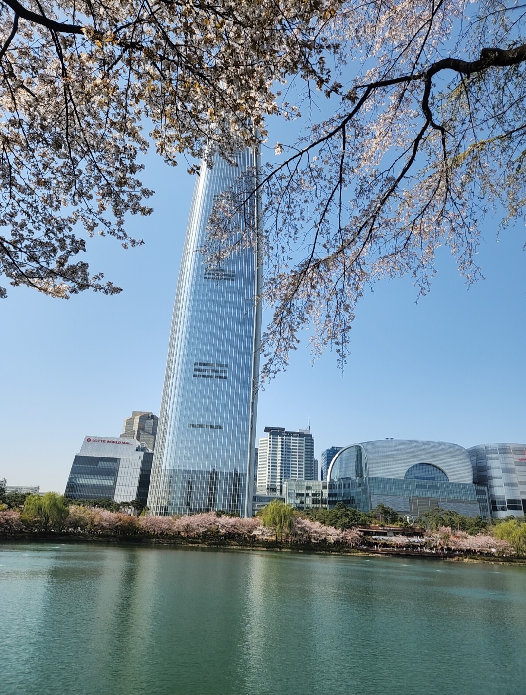 Recent activity shot of Jin Haesung