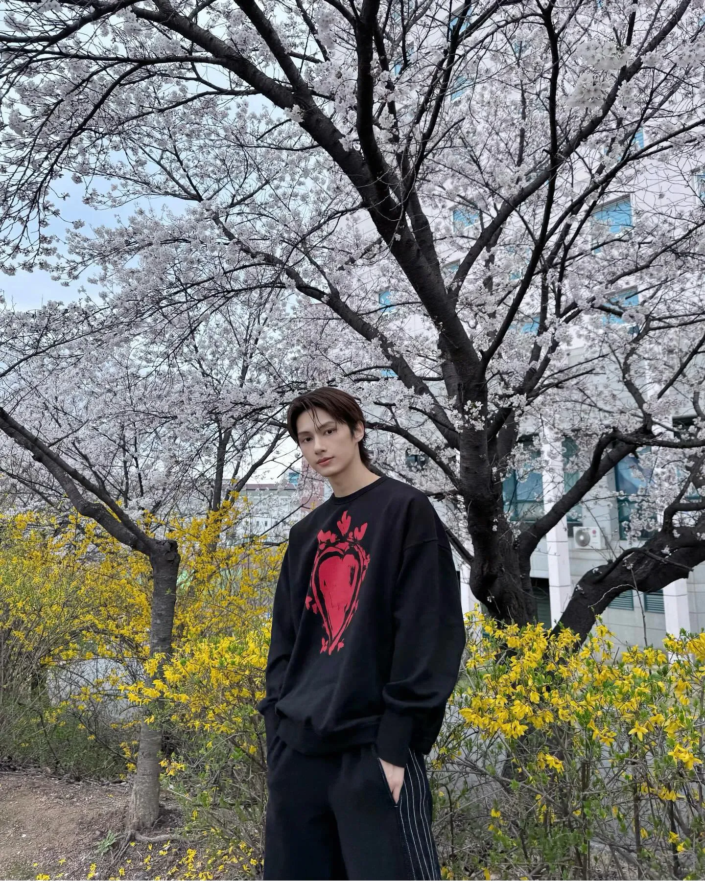 A moment captured by a fan of Wen Junhui