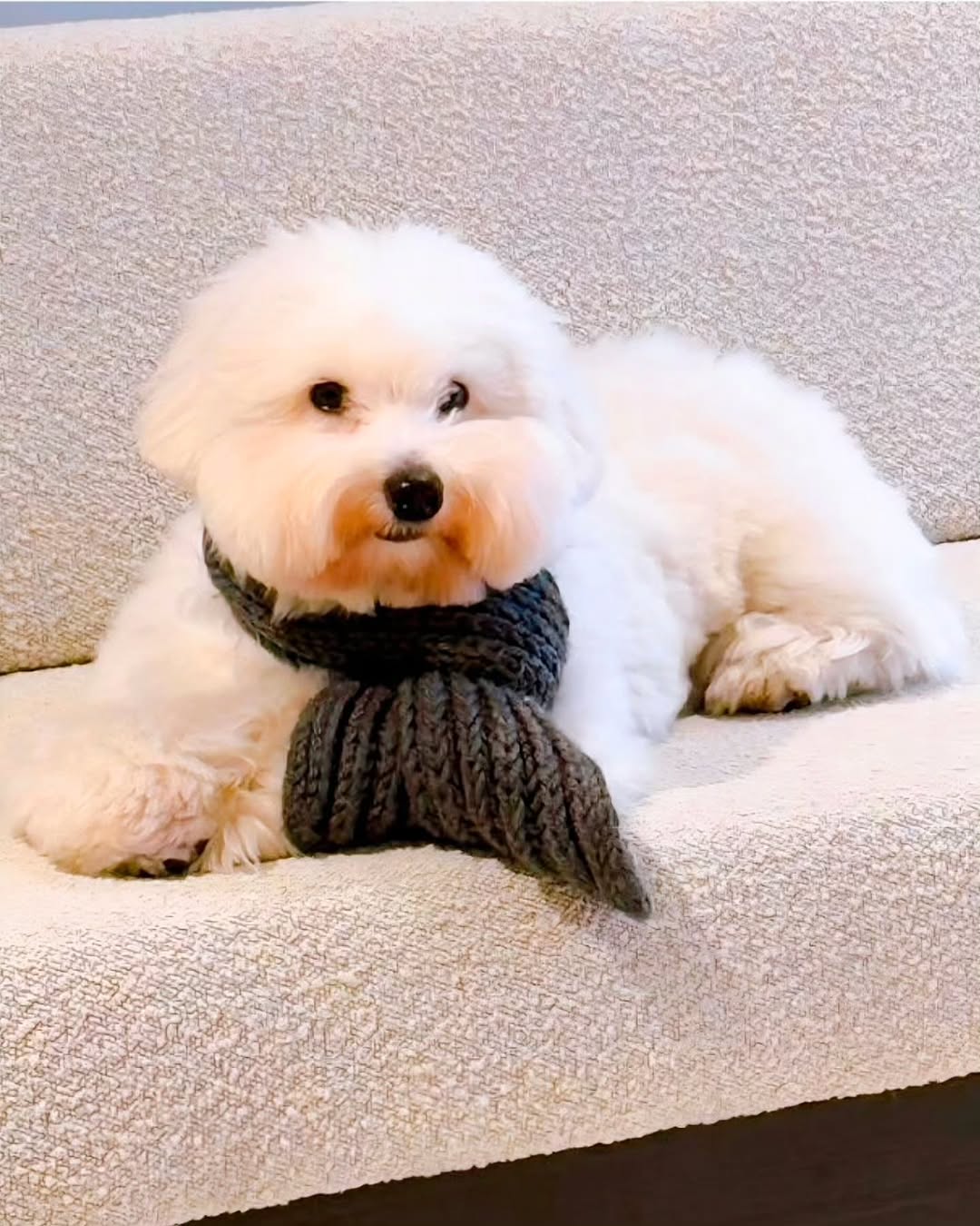 林英雄的幕后花絮