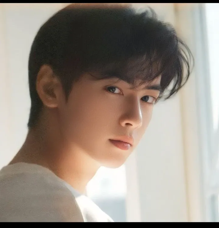 A moment captured by a fan of Cha Eunwoo