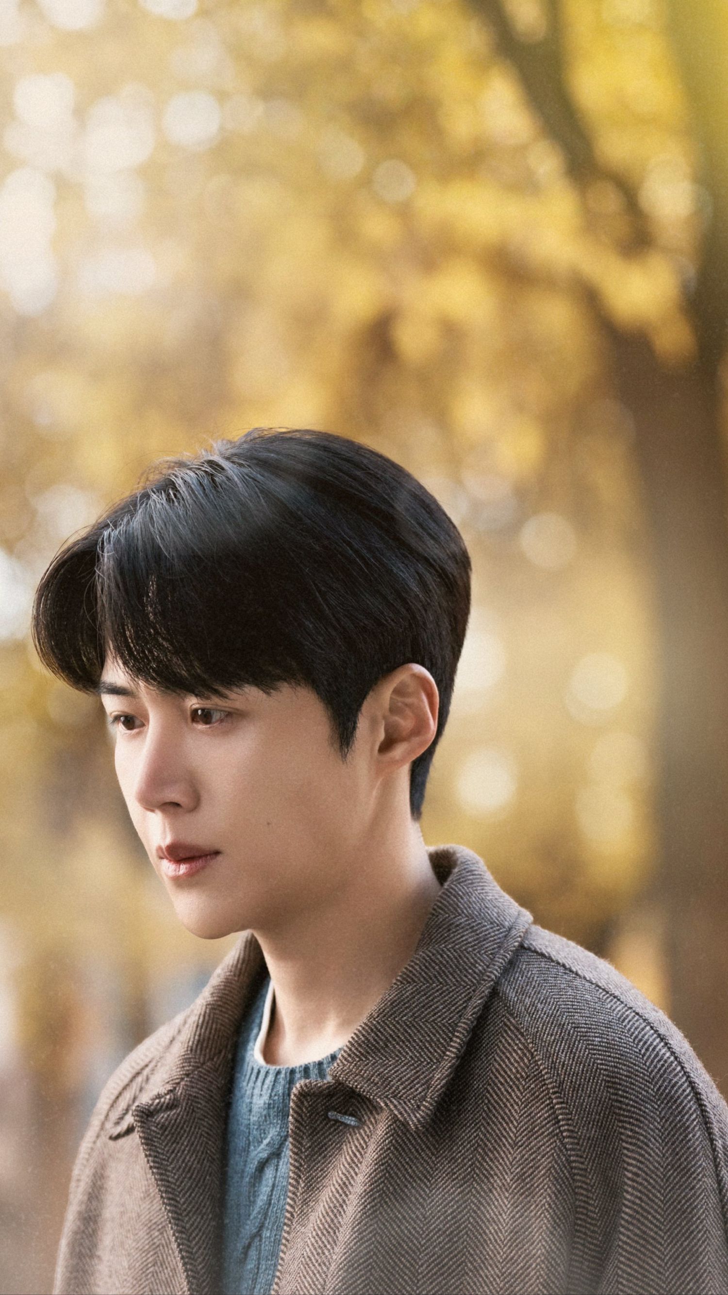 Latest photo of Kim Seonho