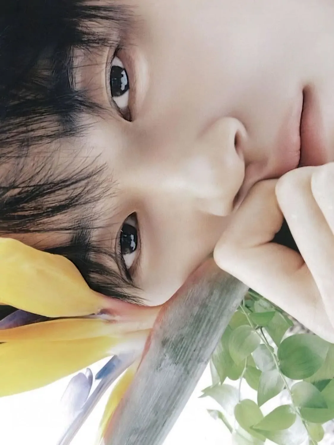 변우석 팬이 찍은 순간