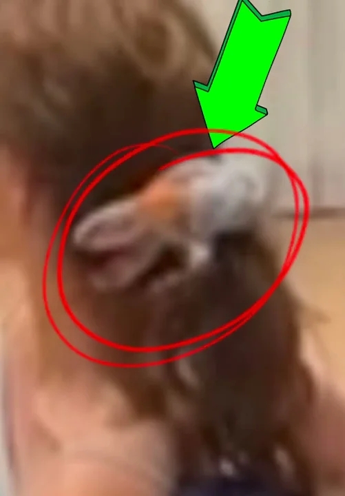 A moment captured by a fan of Chae Soobin