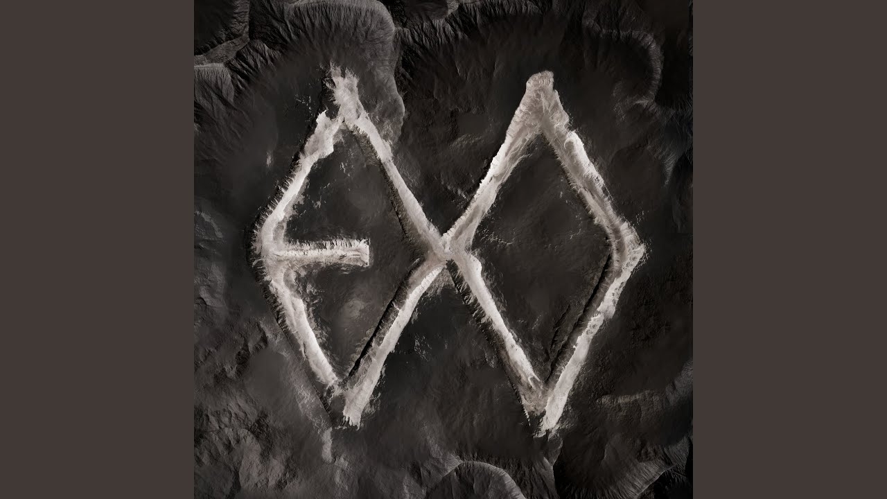 도경수 (디오) 팬이 찍은 순간