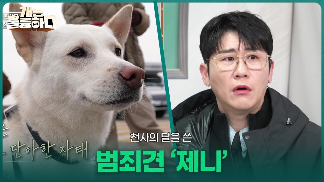 영탁의 비하인드 컷