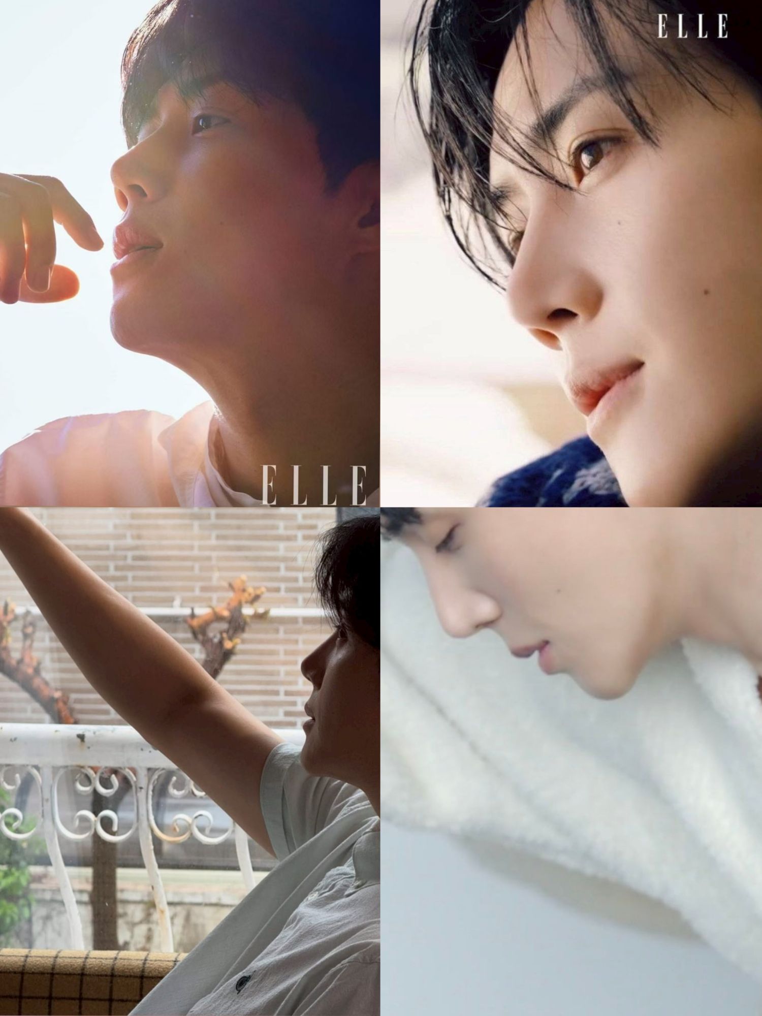 金宣虎的最新照片