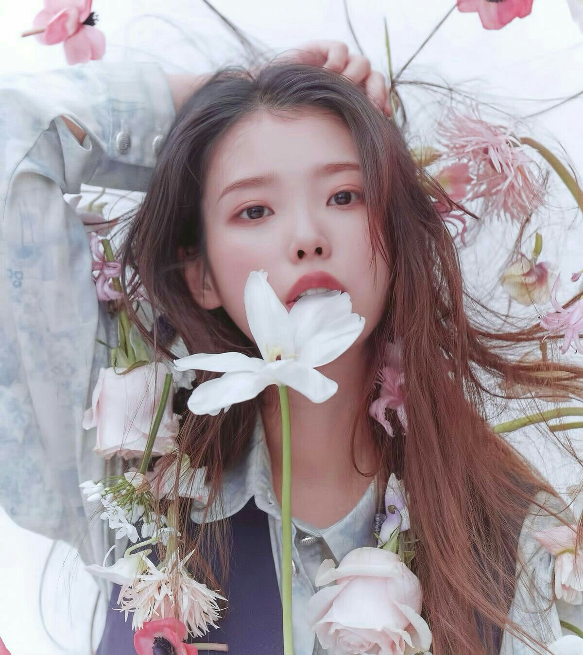 IUの最近の活動ショット