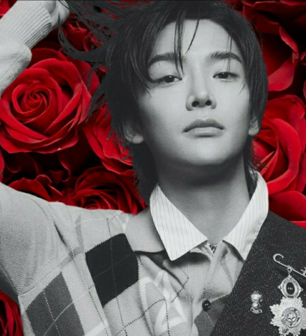 로운 최근 활동샷