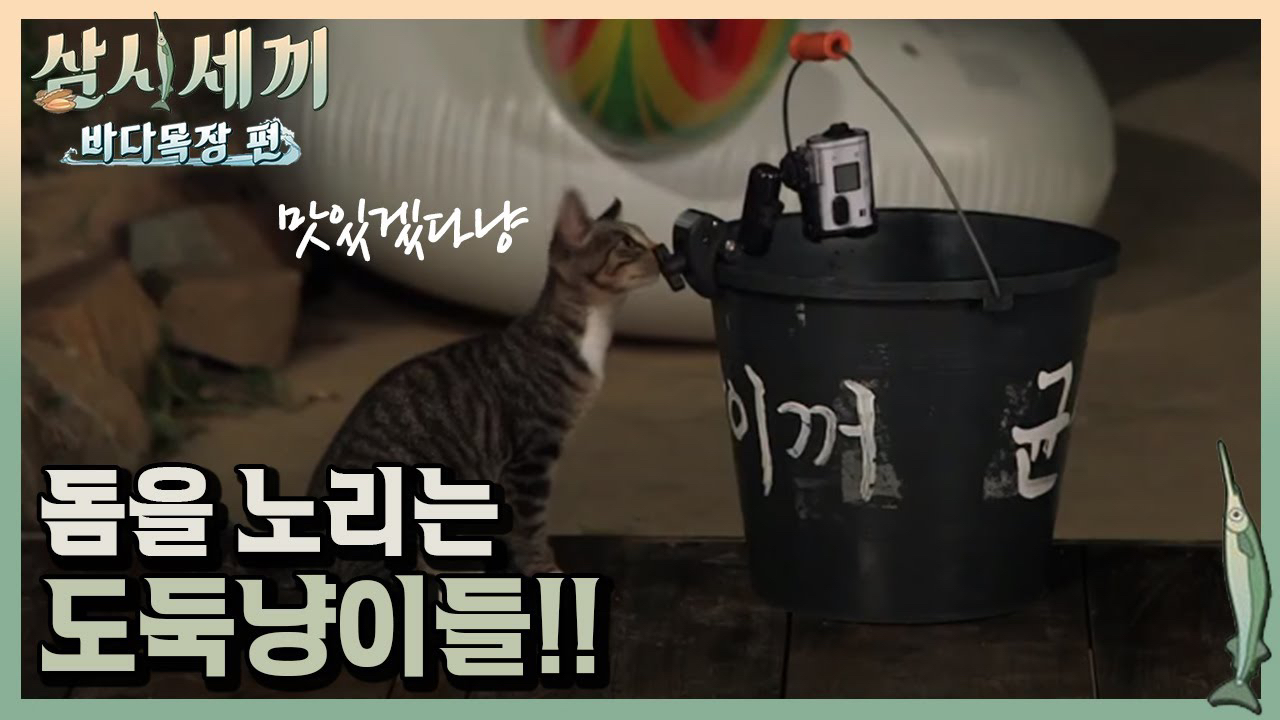 A moment captured by a fan of Yoon Kyunsang