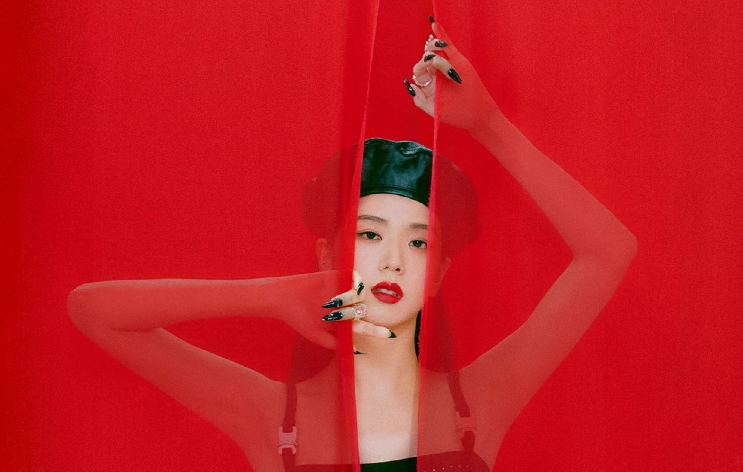 A moment captured by a fan of Jisoo (1995)