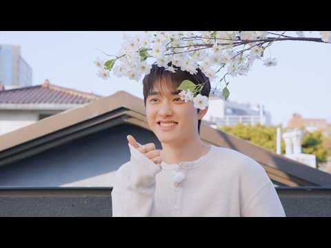 도경수 (디오) 팬이 찍은 순간