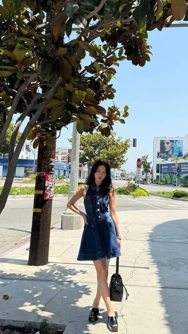 Representative background image loved by Jisoo (1995) fandom