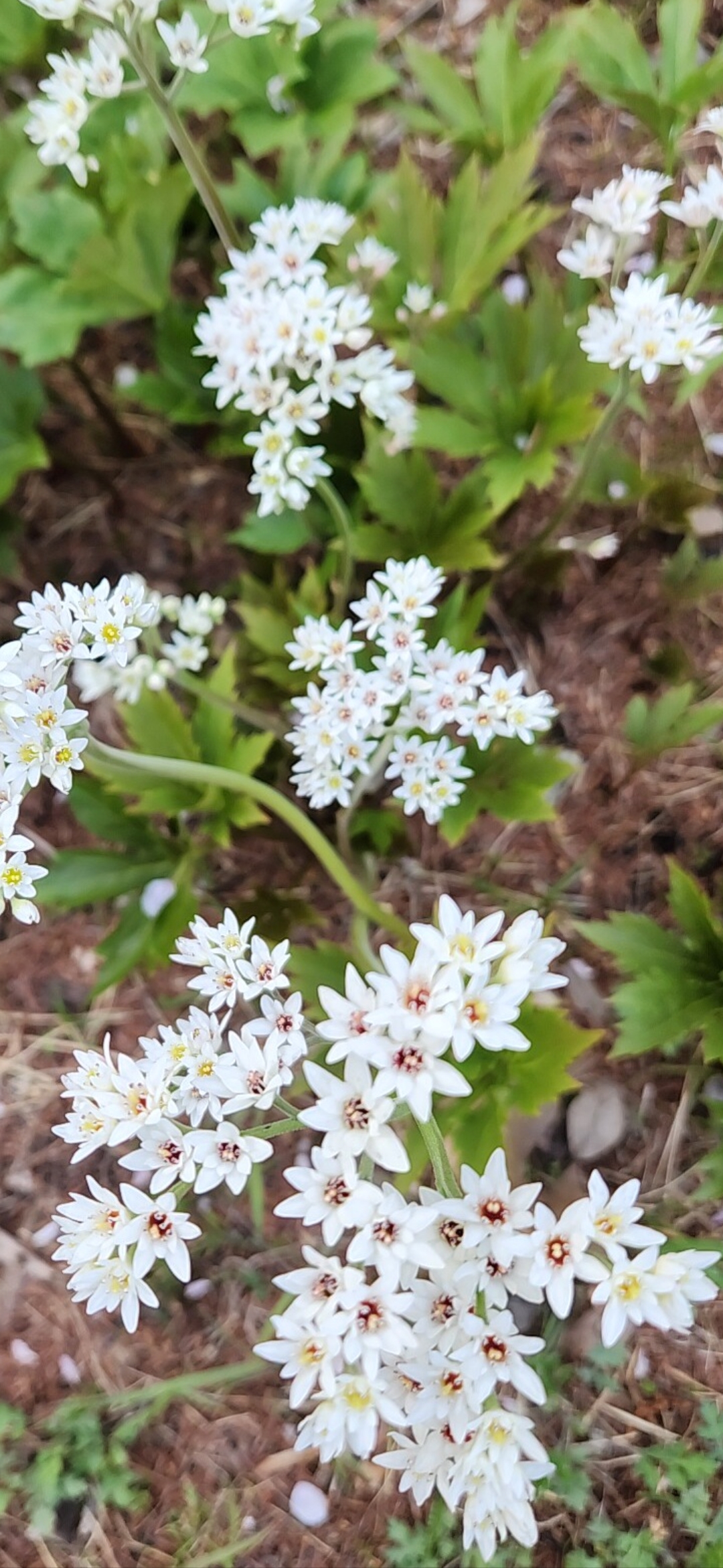 粉丝拍下的晋海成瞬间