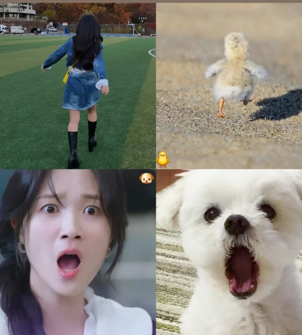 Recent activity shot of Kim Hyeyoon