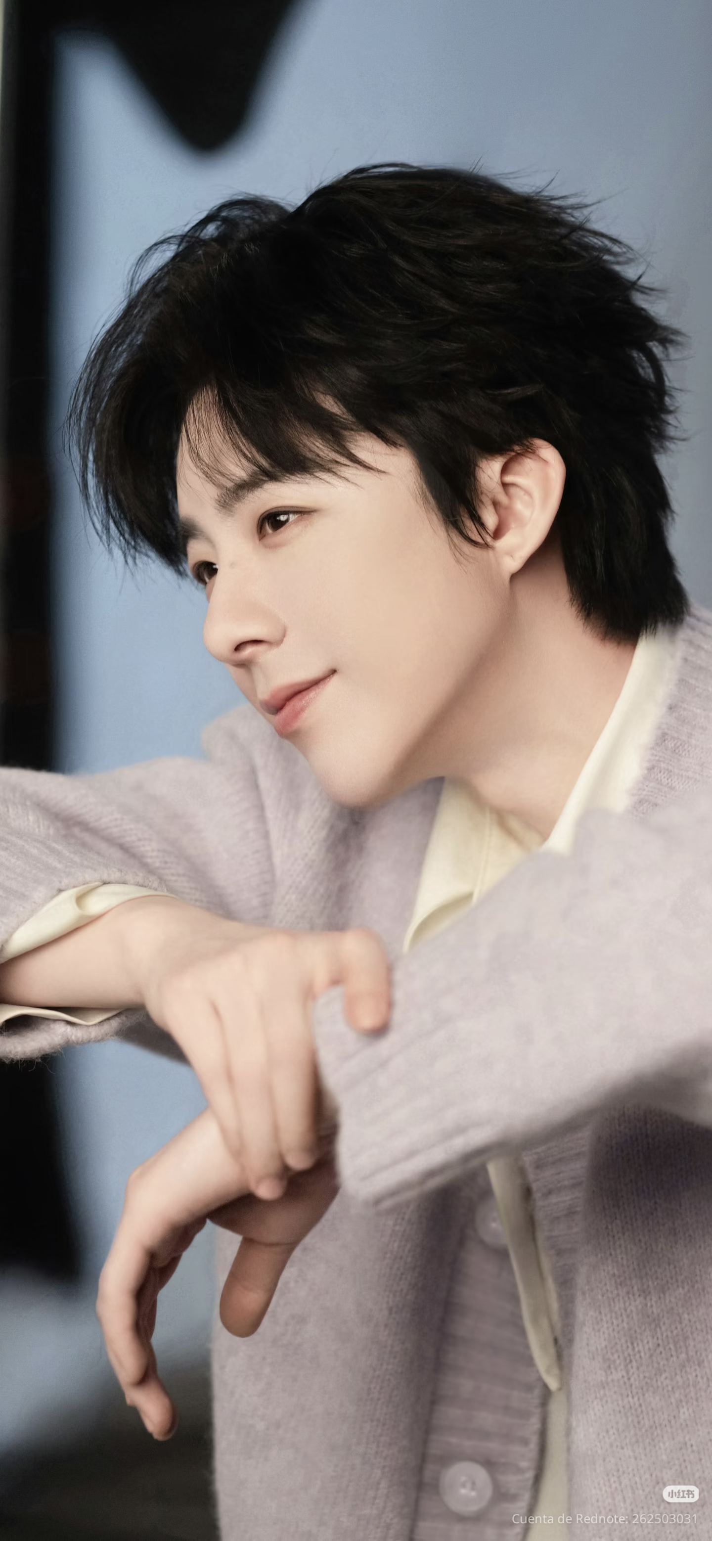 Board社区今日人气壁纸