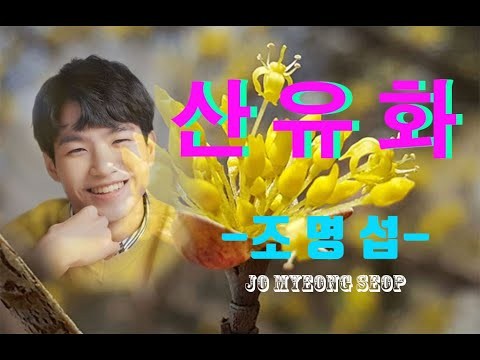 조명섭의 비하인드 컷