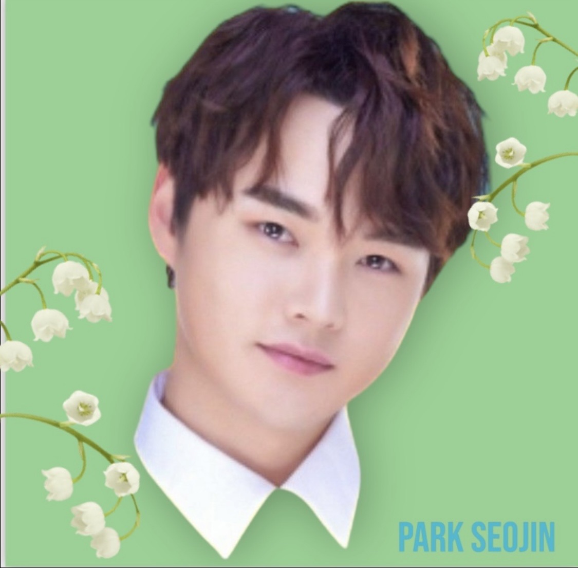 박서진의 비하인드 컷