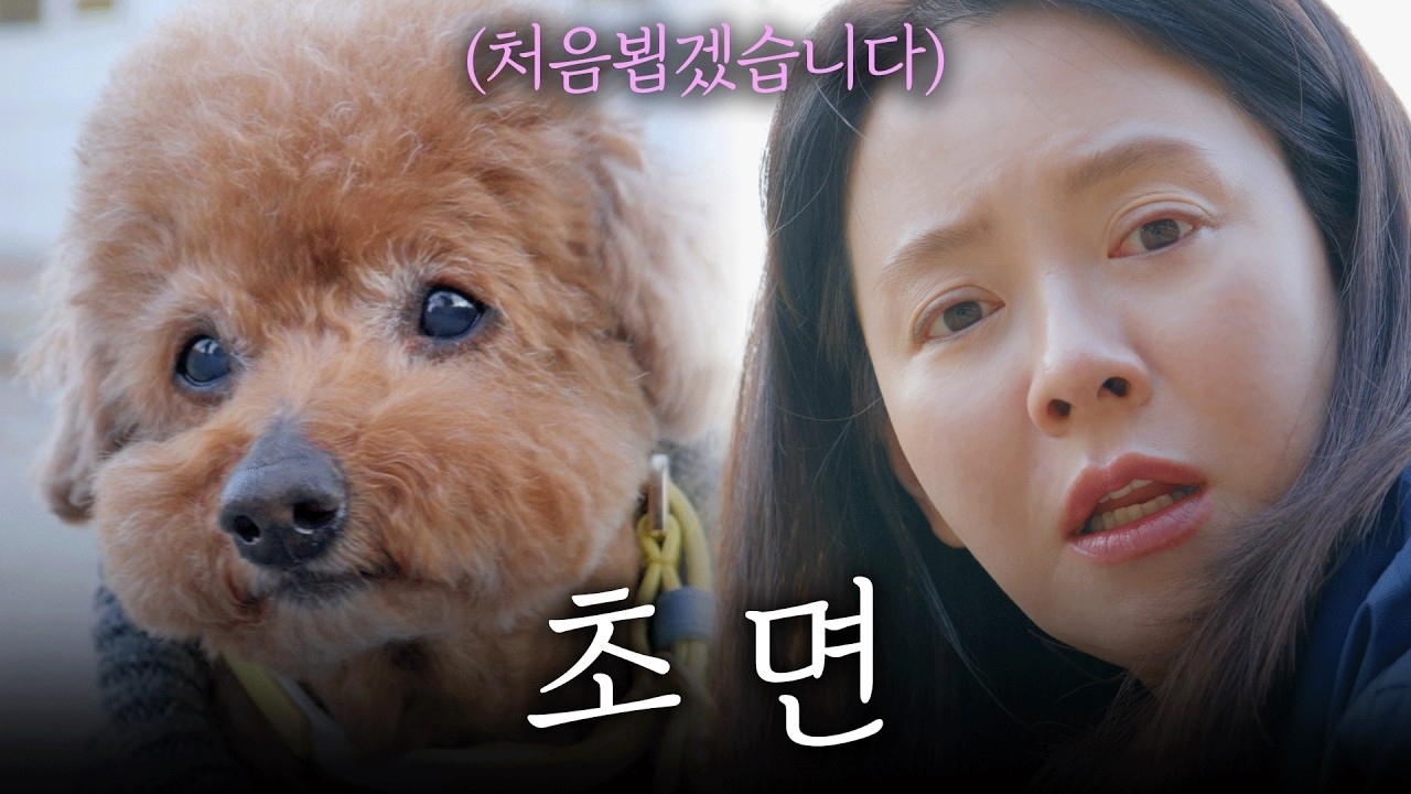 宋智孝的幕后花絮