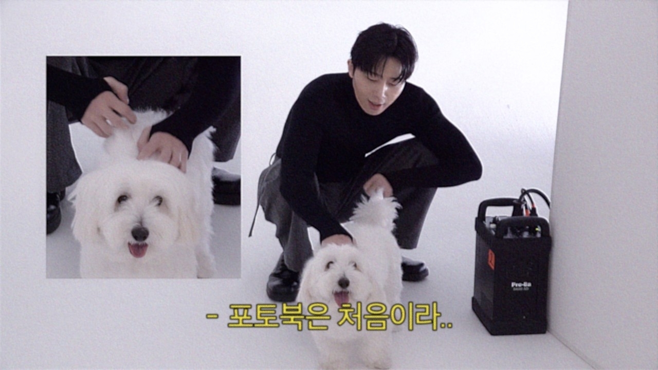 朴敘俊的近期活動照