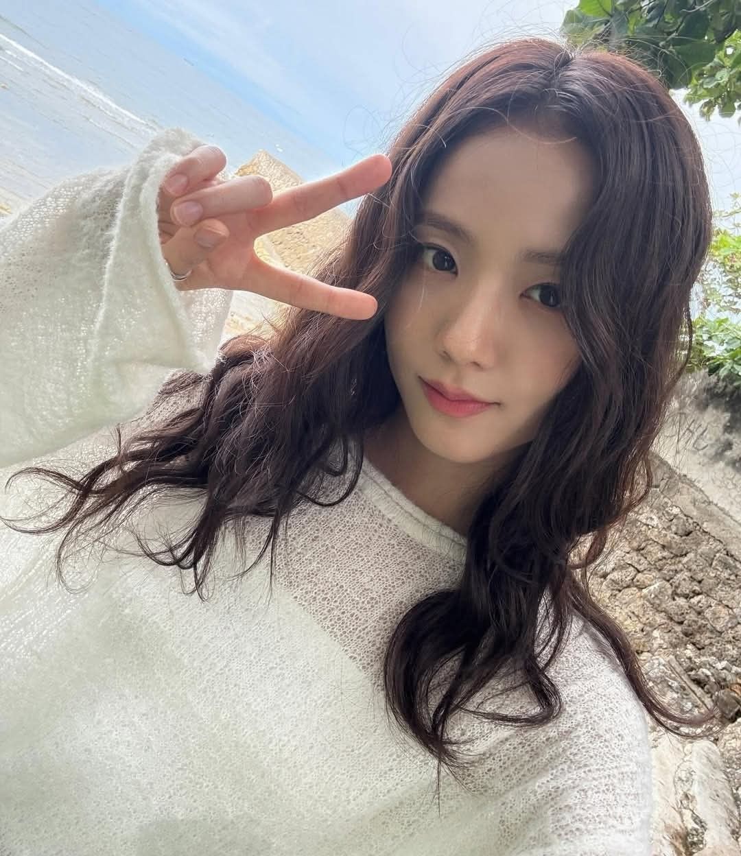 A moment captured by a fan of Jisoo (1995)