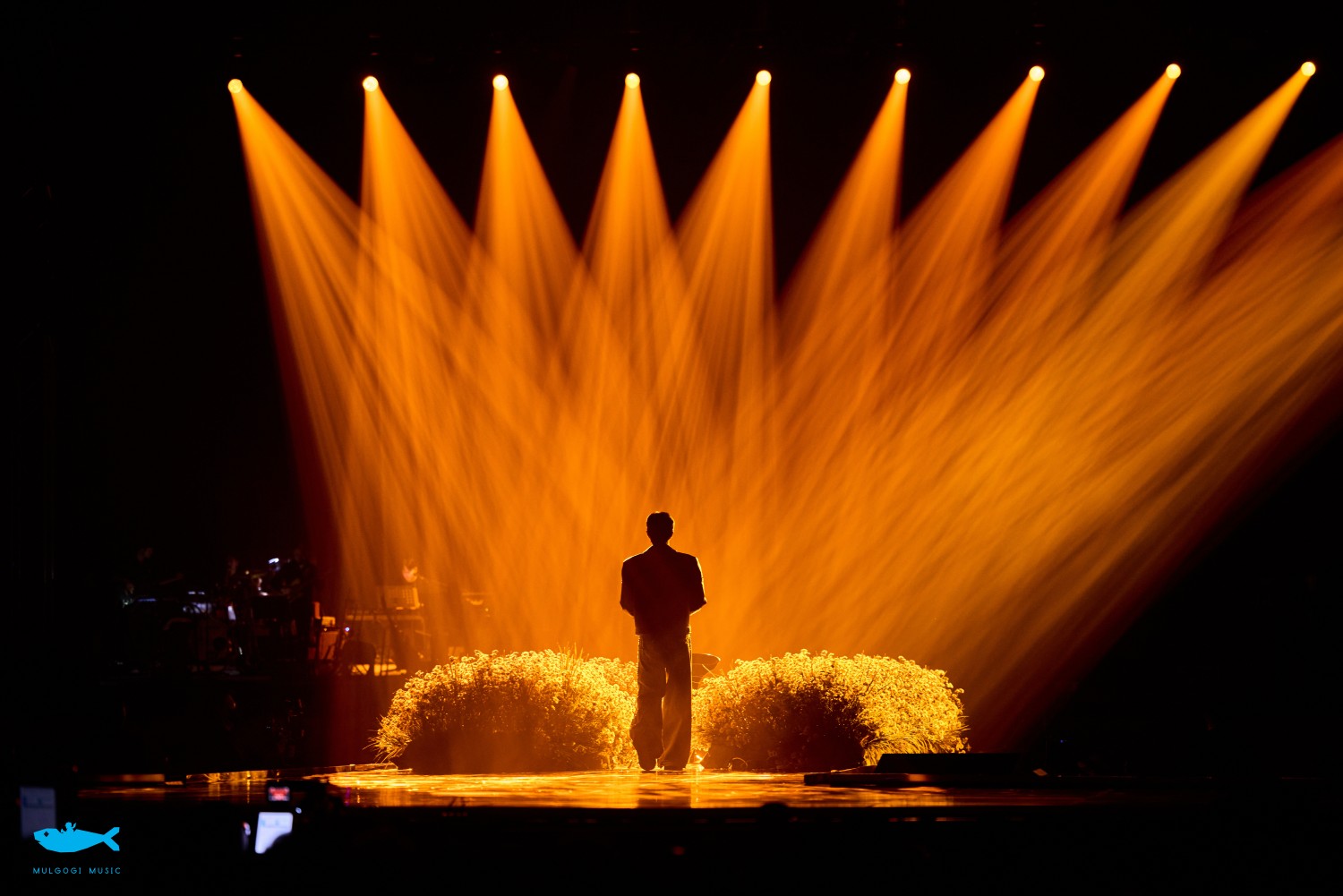 イム・ヨンウンのビハインドカット