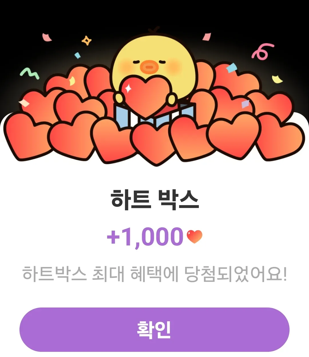 홍자의 비하인드 컷