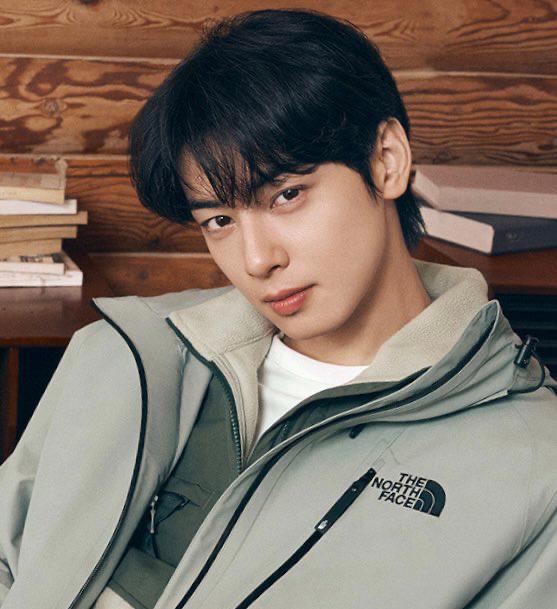 Recent activity shot of Cha Eunwoo