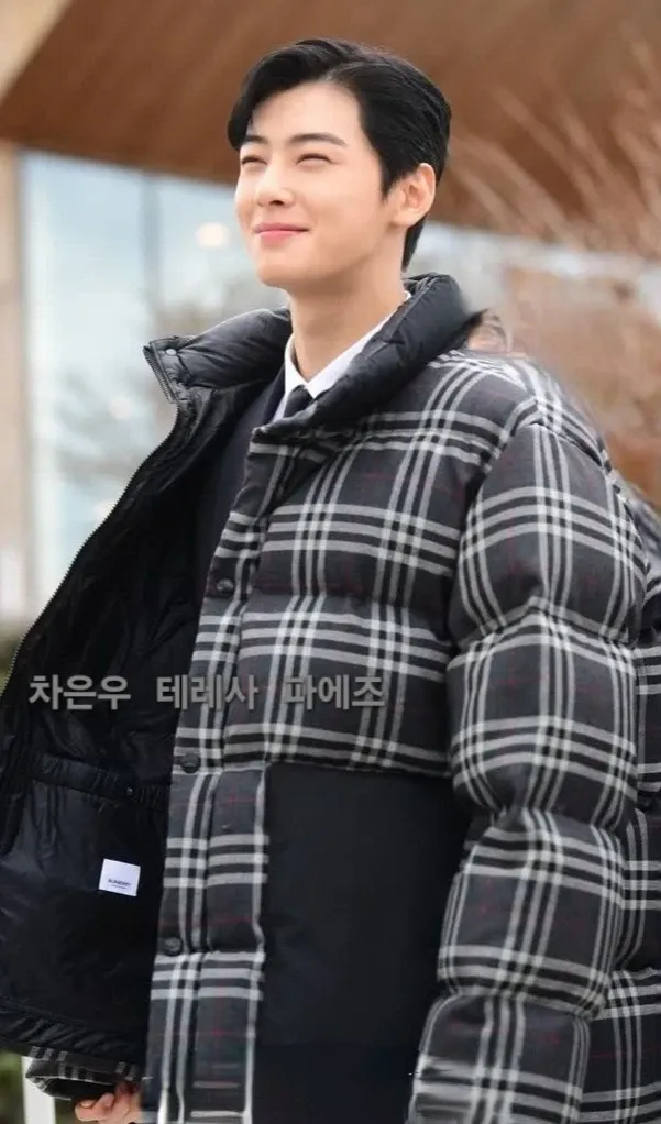 최애돌셀럽 팬덤이 추천하는 차은우 배경 이미지