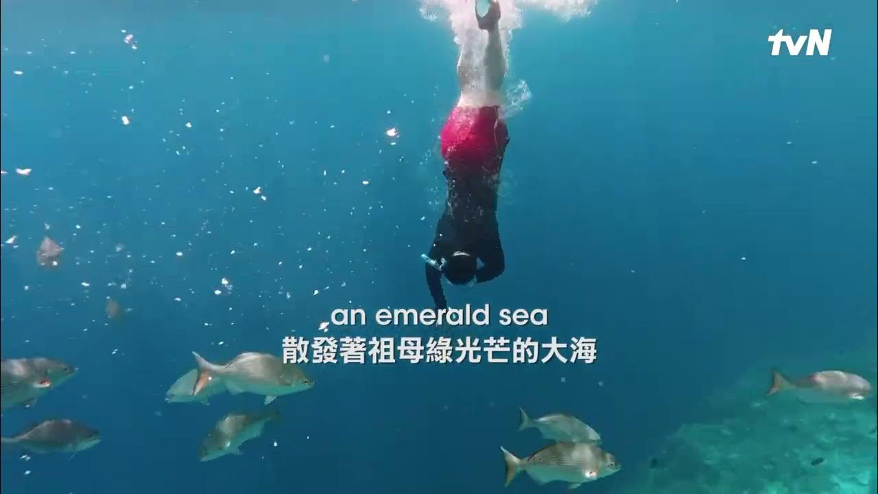 金惠奫的最新照片