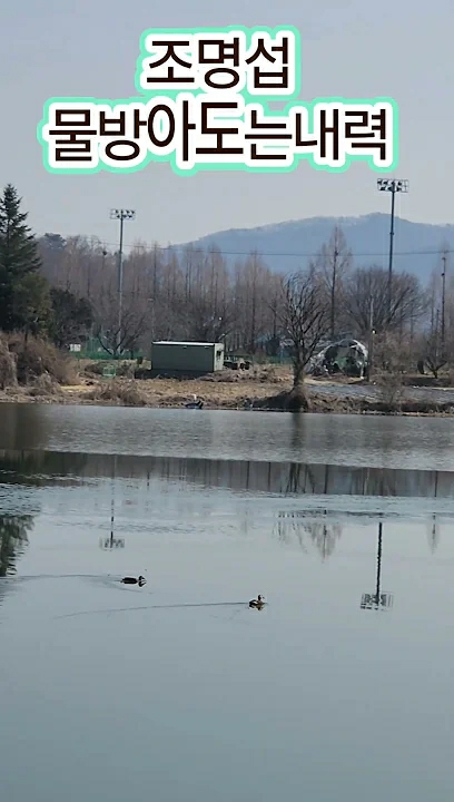 조명섭의 최신 사진