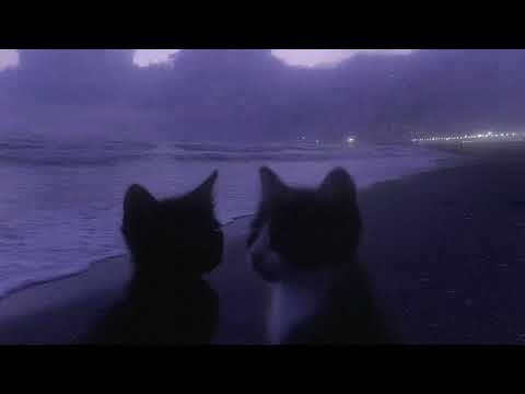 粉丝拍下的Faker瞬间