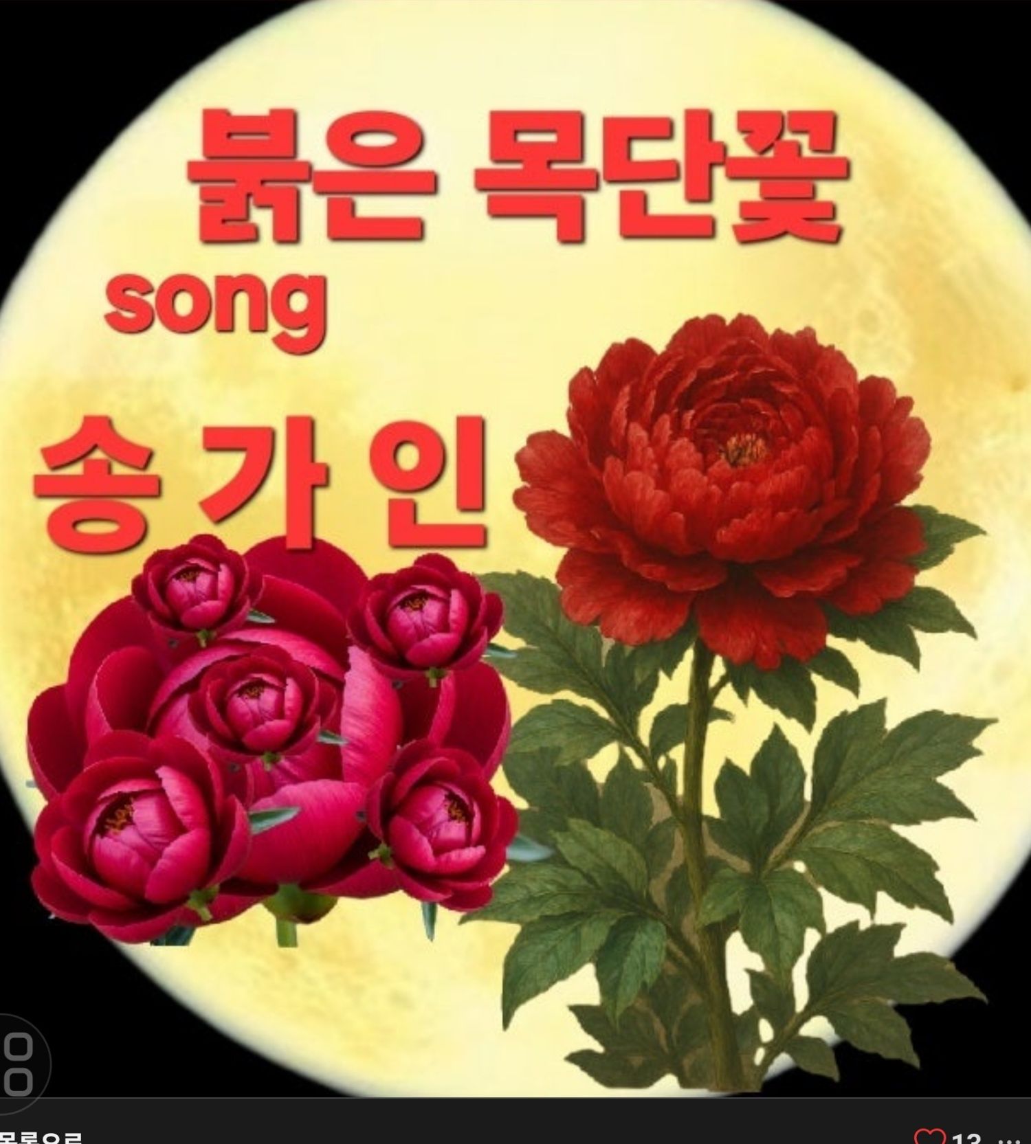 粉丝拍下的宋歌人瞬间