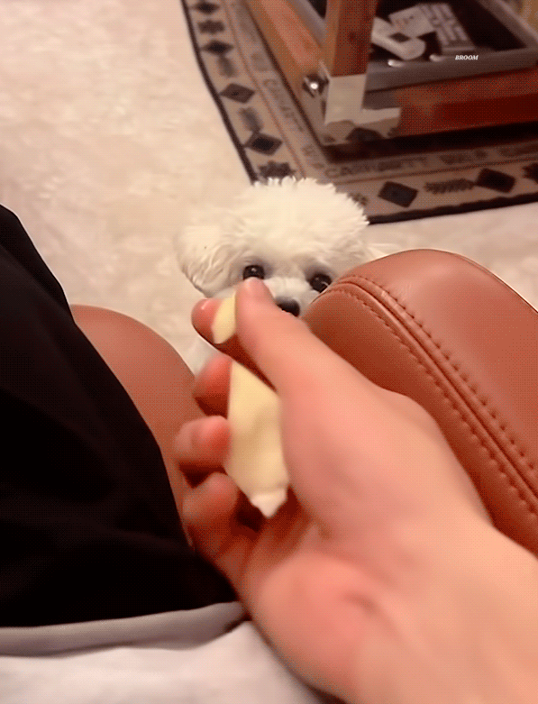 Recent activity shot of Cha Eunwoo