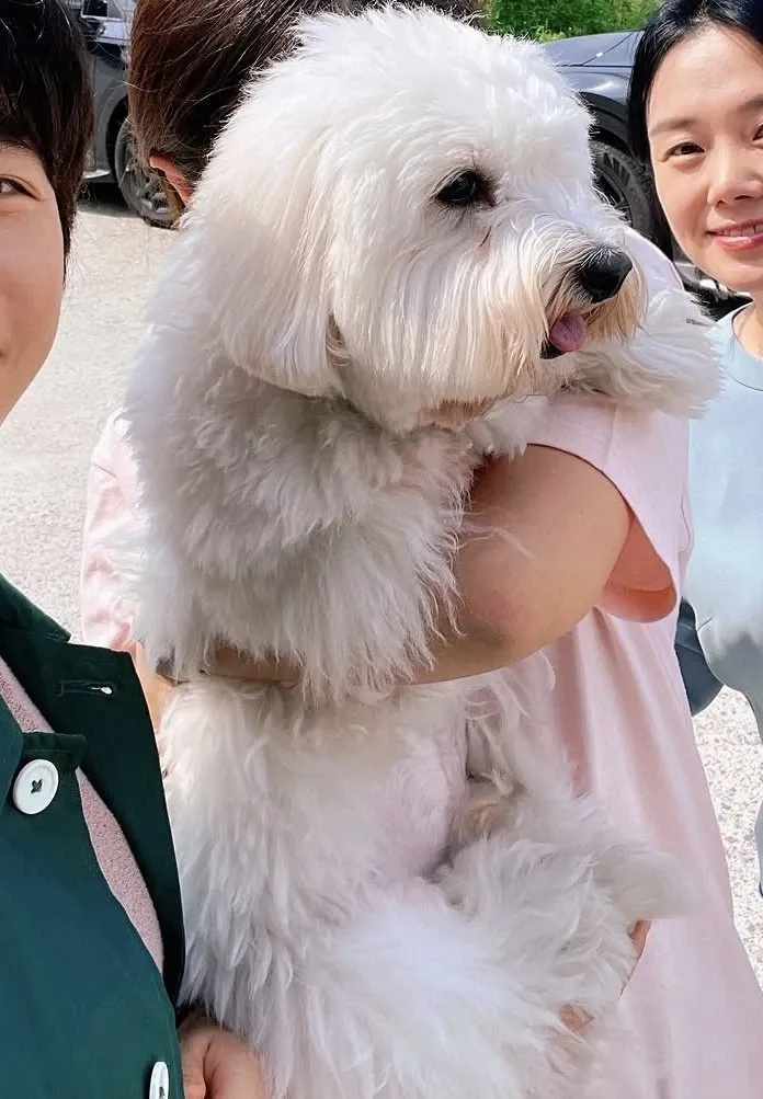 Latest photo of Lim Youngwoong
