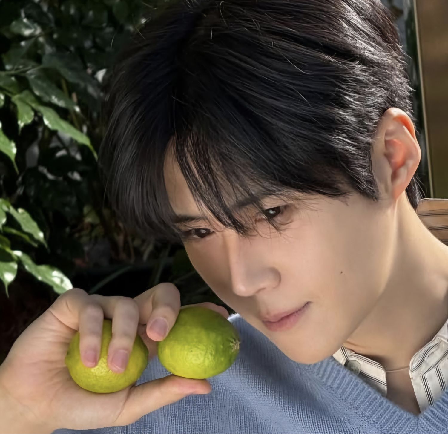 金宣虎的最新照片