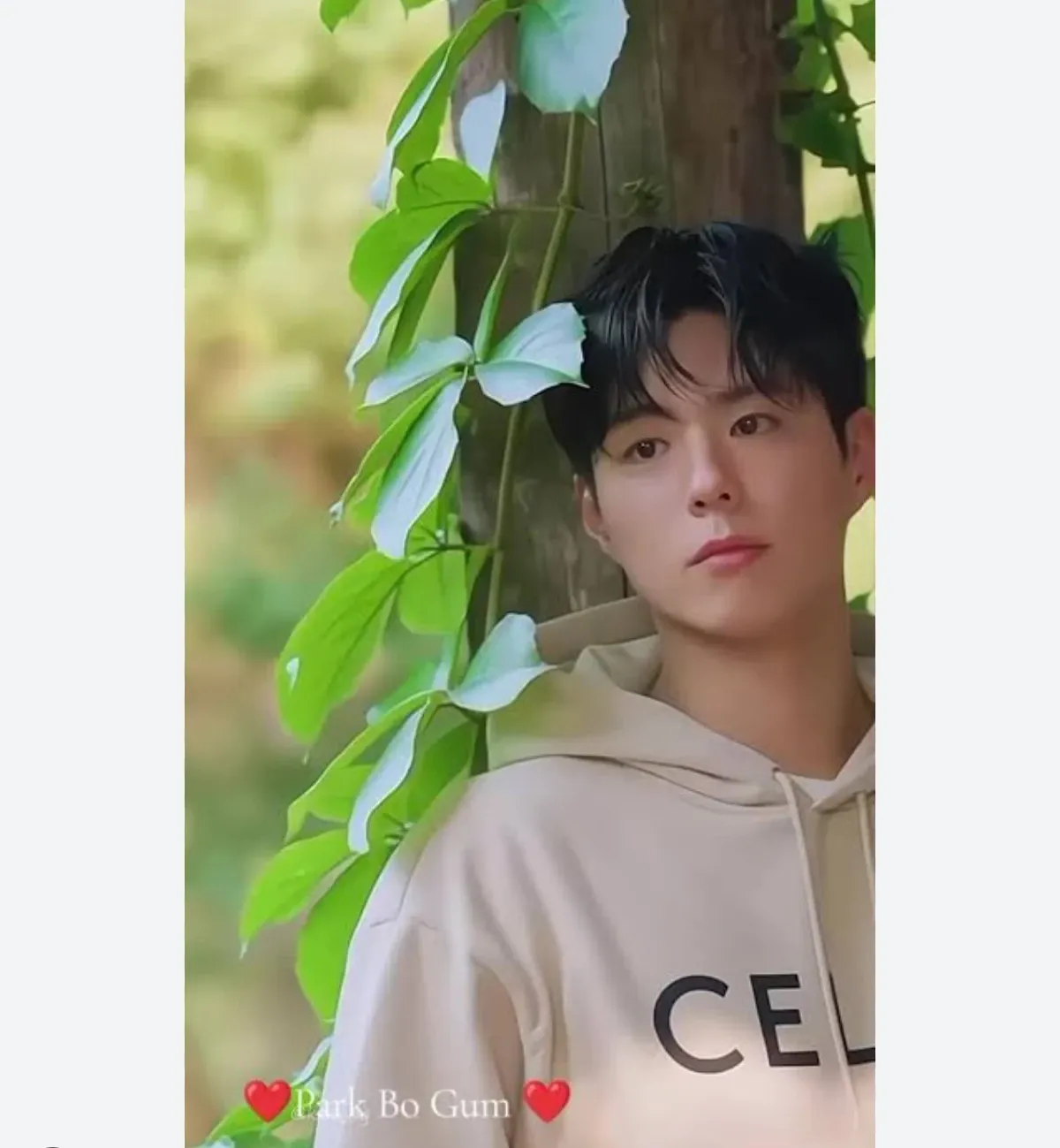 A moment captured by a fan of Park Bogum