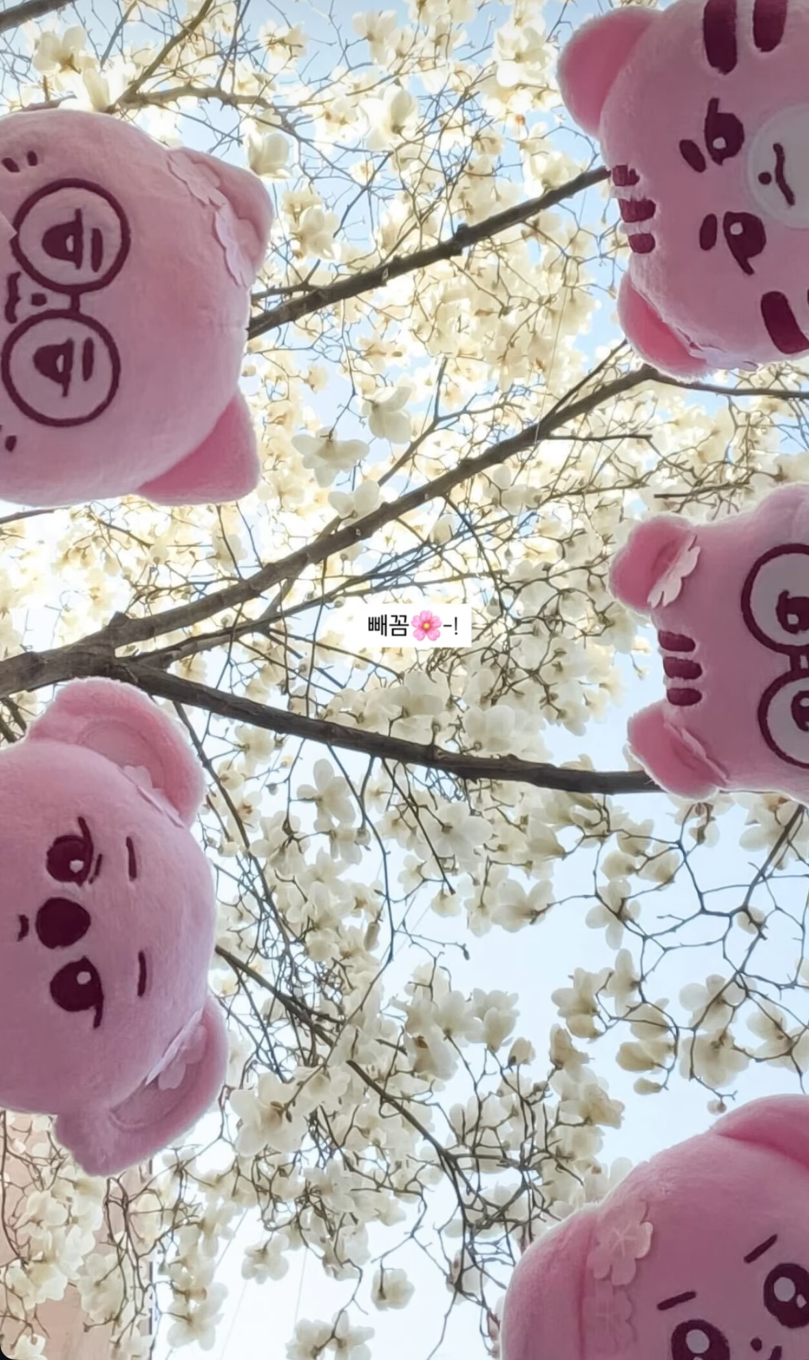 Today's popular wallpaper in Faker community