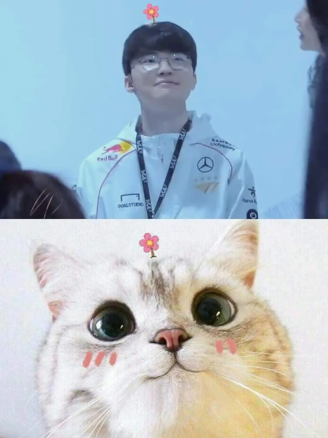 페이커의 최신 사진