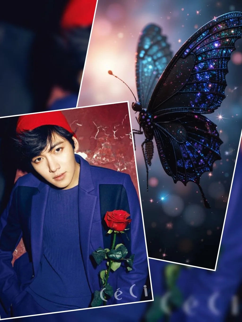 池昌旭的近期活动照