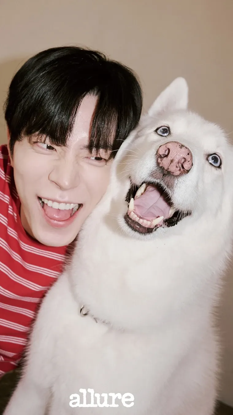 Representative background image loved by Board fandom