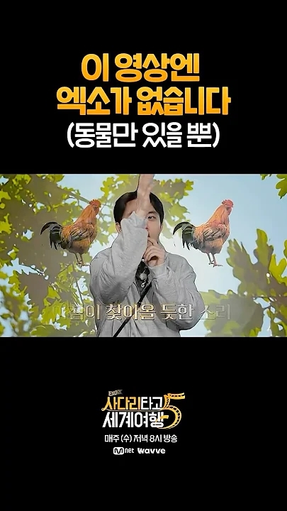 Recent activity shot of KAI