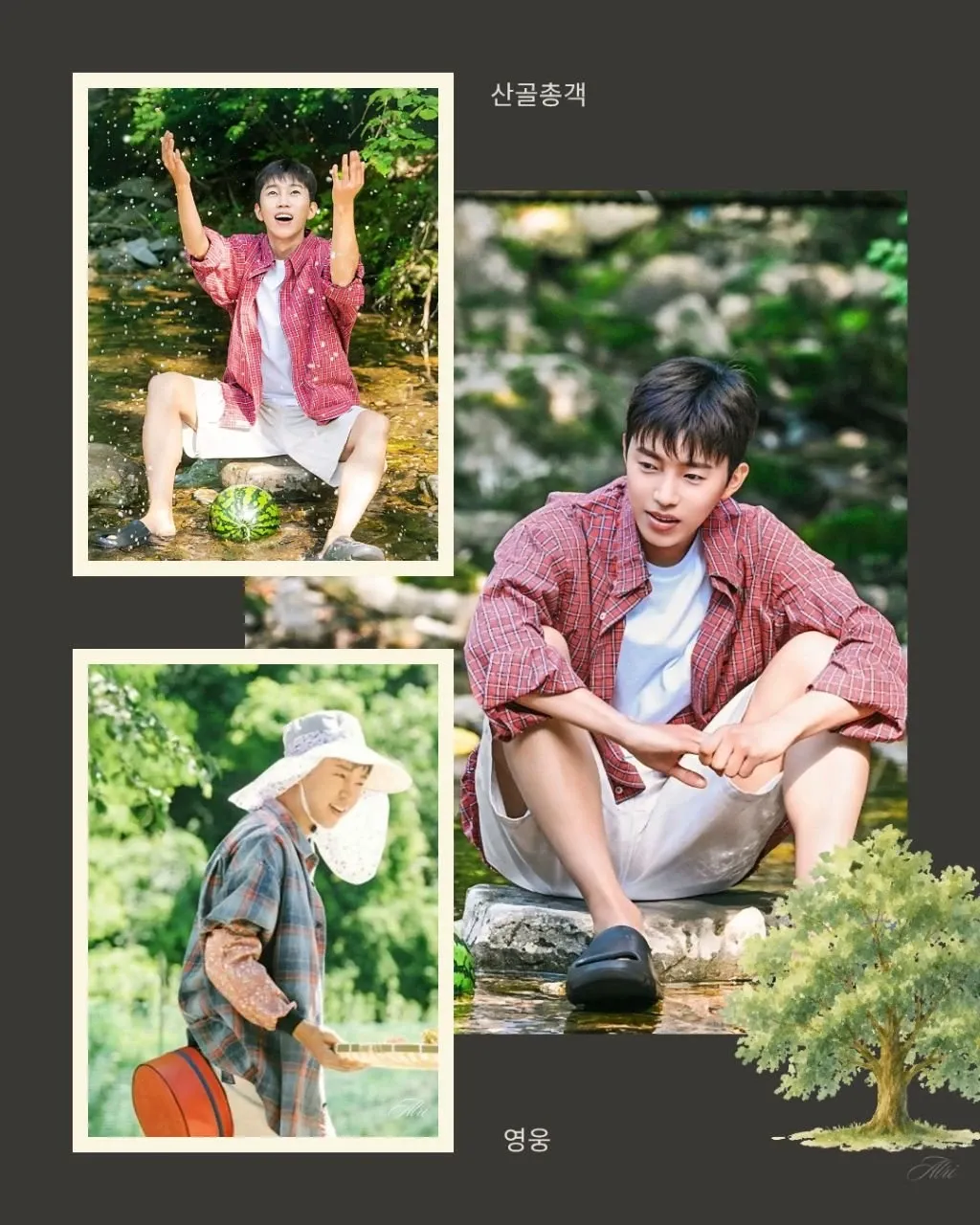 임영웅 팬이 찍은 순간
