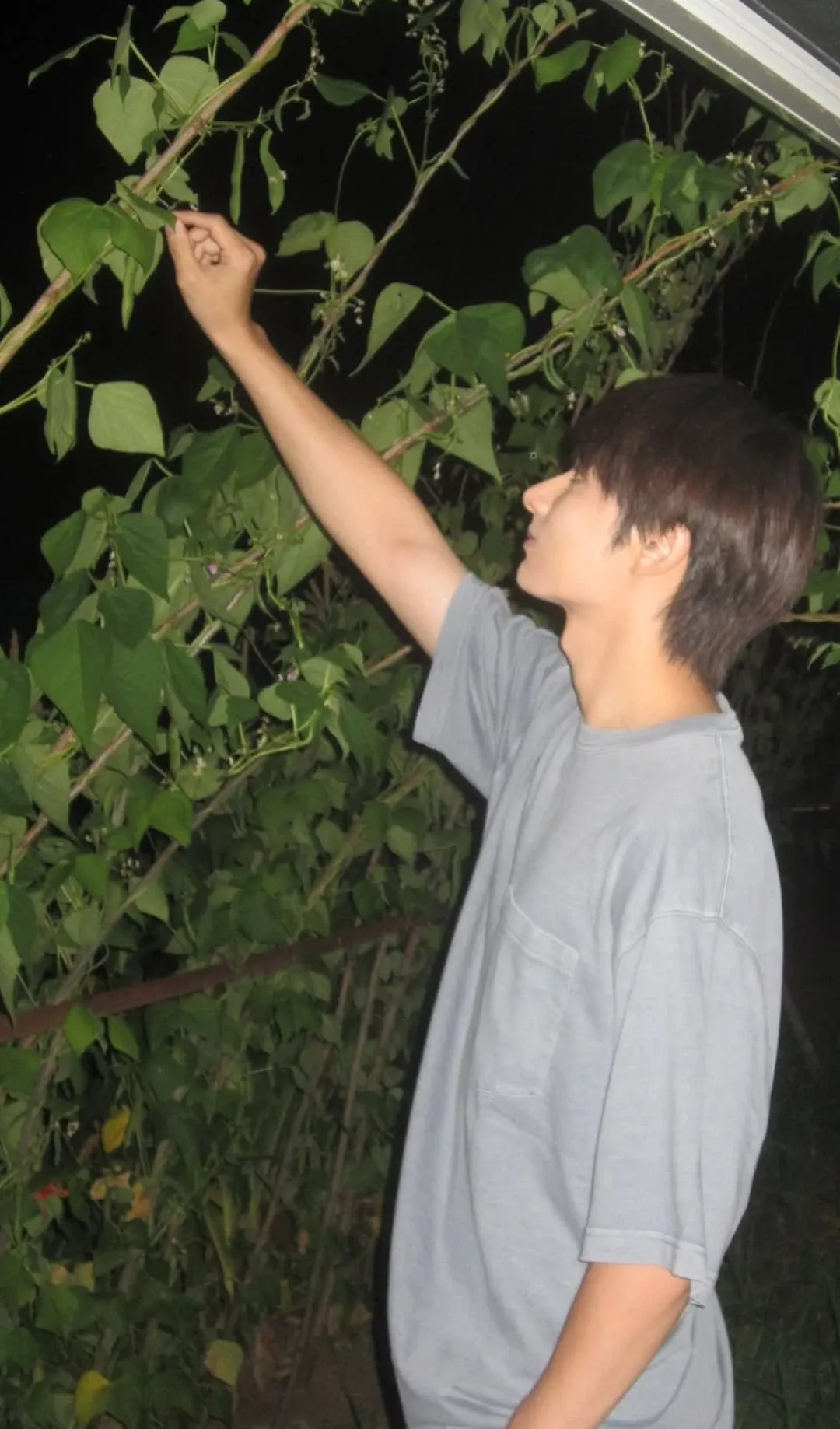 Today's popular wallpaper in Wen Junhui community