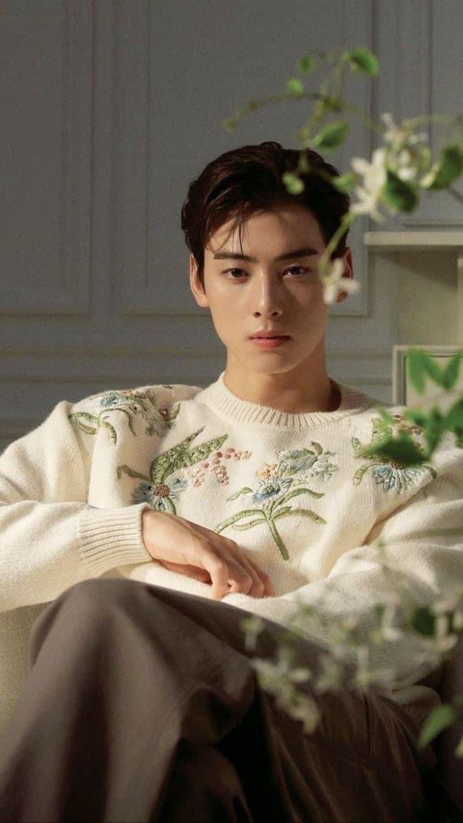 Behind-the-scenes cut of Cha Eunwoo