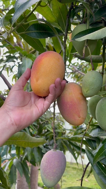 Today's popular wallpaper in Kim Soohyun community