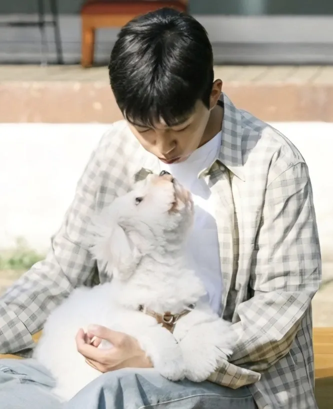 임영웅 최근 활동샷